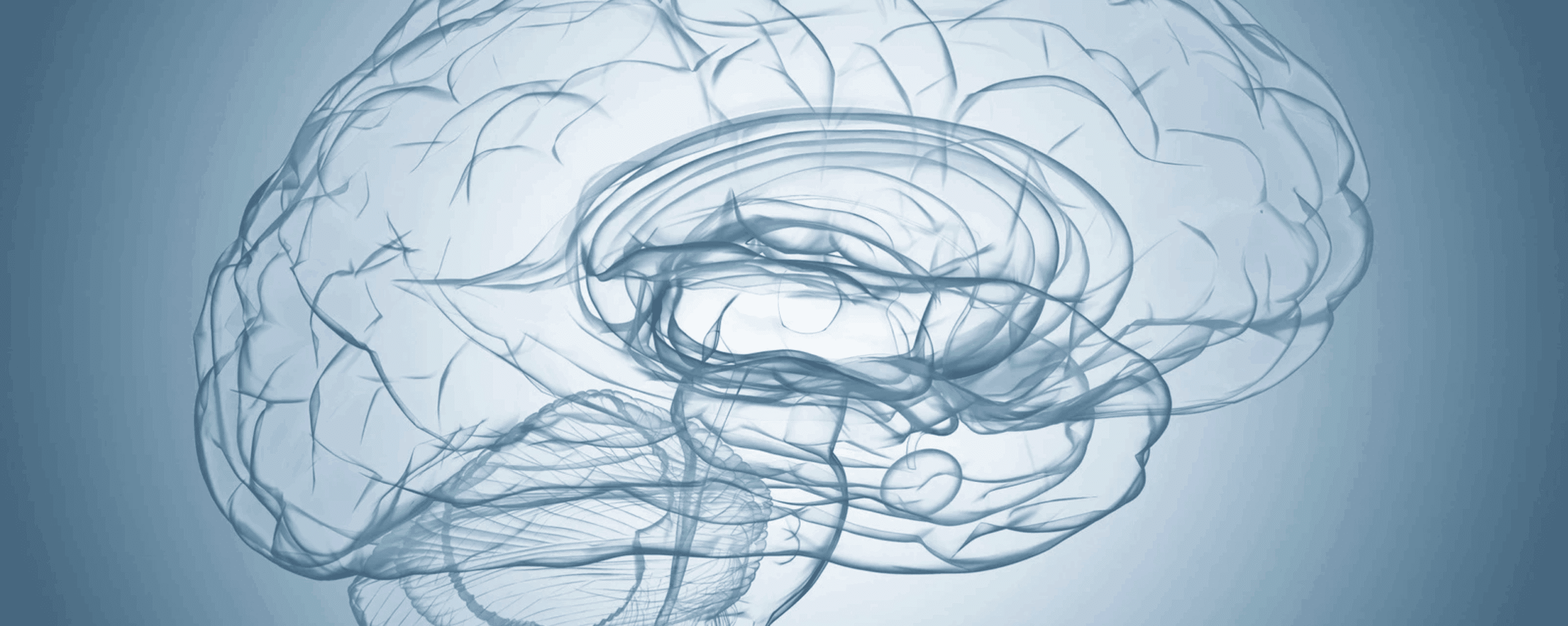 How drugs of addiction act on the limbic system