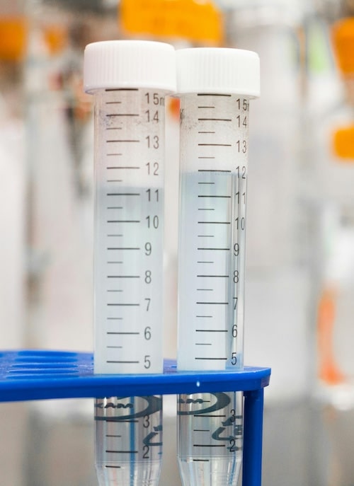 How Long Does Vyvanse Stay in Your System? image